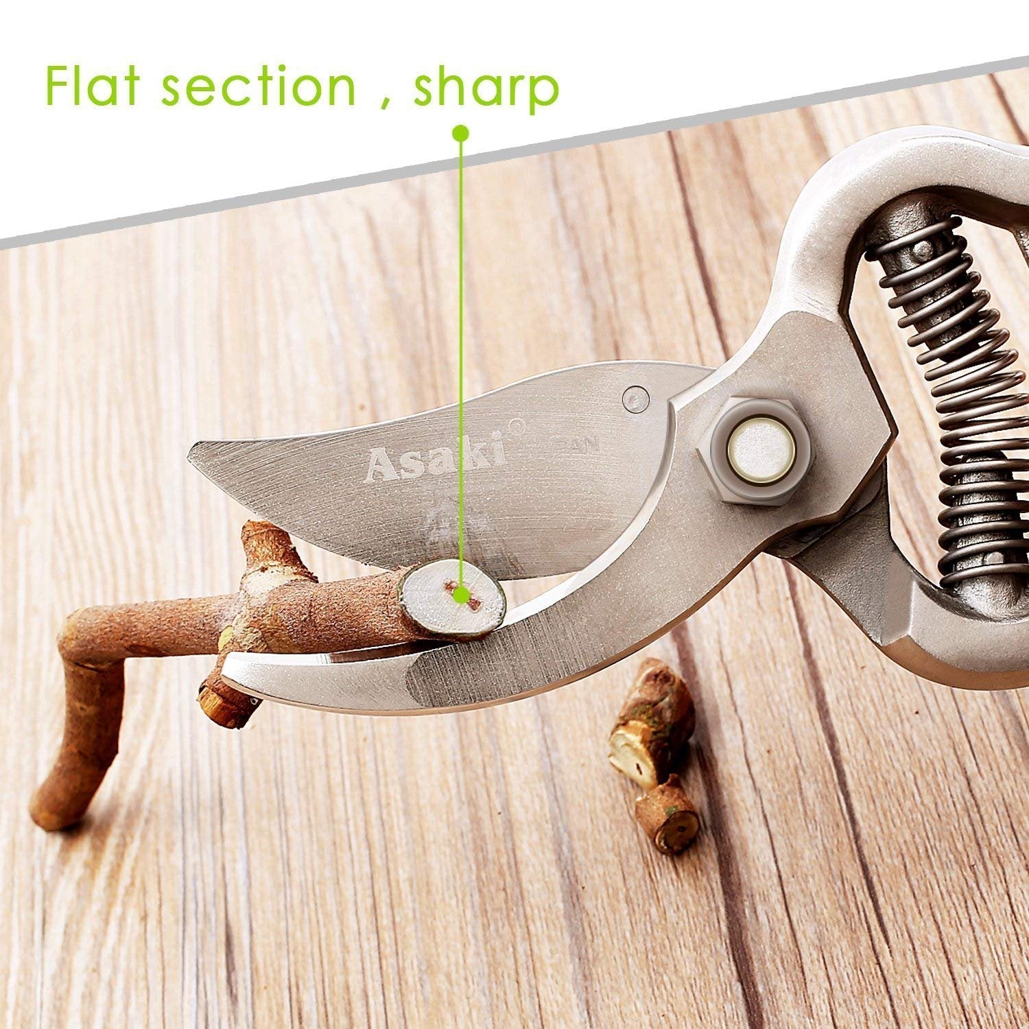 0466 Garden Shears Pruners Scissor (8 inch) - SkyShopy 0466 Garden Shears Pruners Scissor (8 inch) - SkyShopy